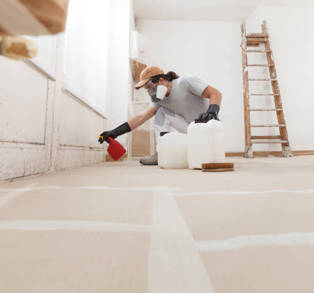 Best Mold Removal for HVAC Installations  in Ack, NY